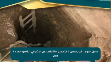 عاجل اليوم.. قرار حبس 3 متهمين بالتنقيب عن الآثار في القاهرة لمدة 4 أيام